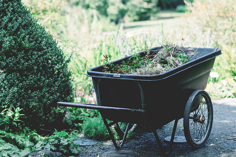 mantenimiento de jardines Sant Cugat